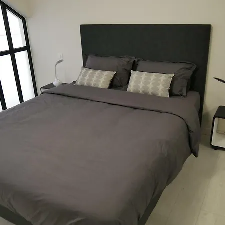 Grand Loft Chic Et Moderne, Deco Industrielle Appartement *